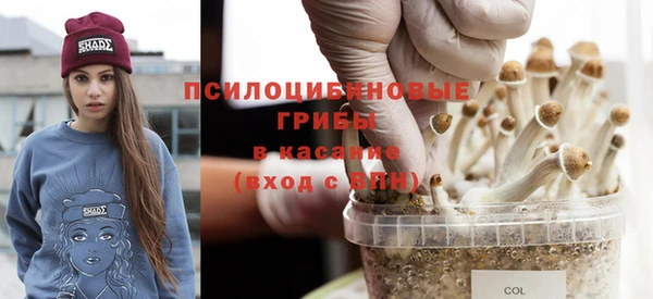 соль ск Новосибирск